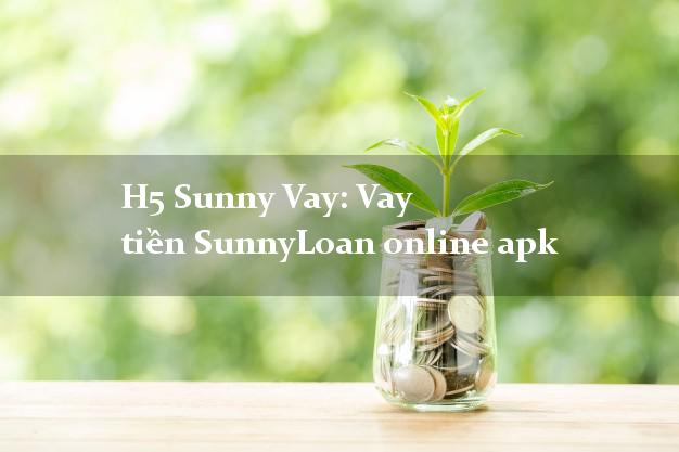 H5 Sunny Vay: Vay tiền SunnyLoan online apk